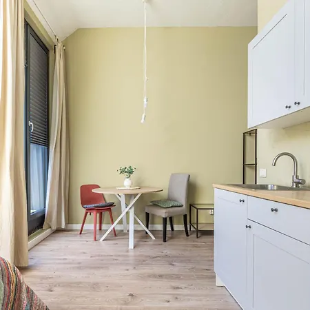 Renesans Nr. 6 *